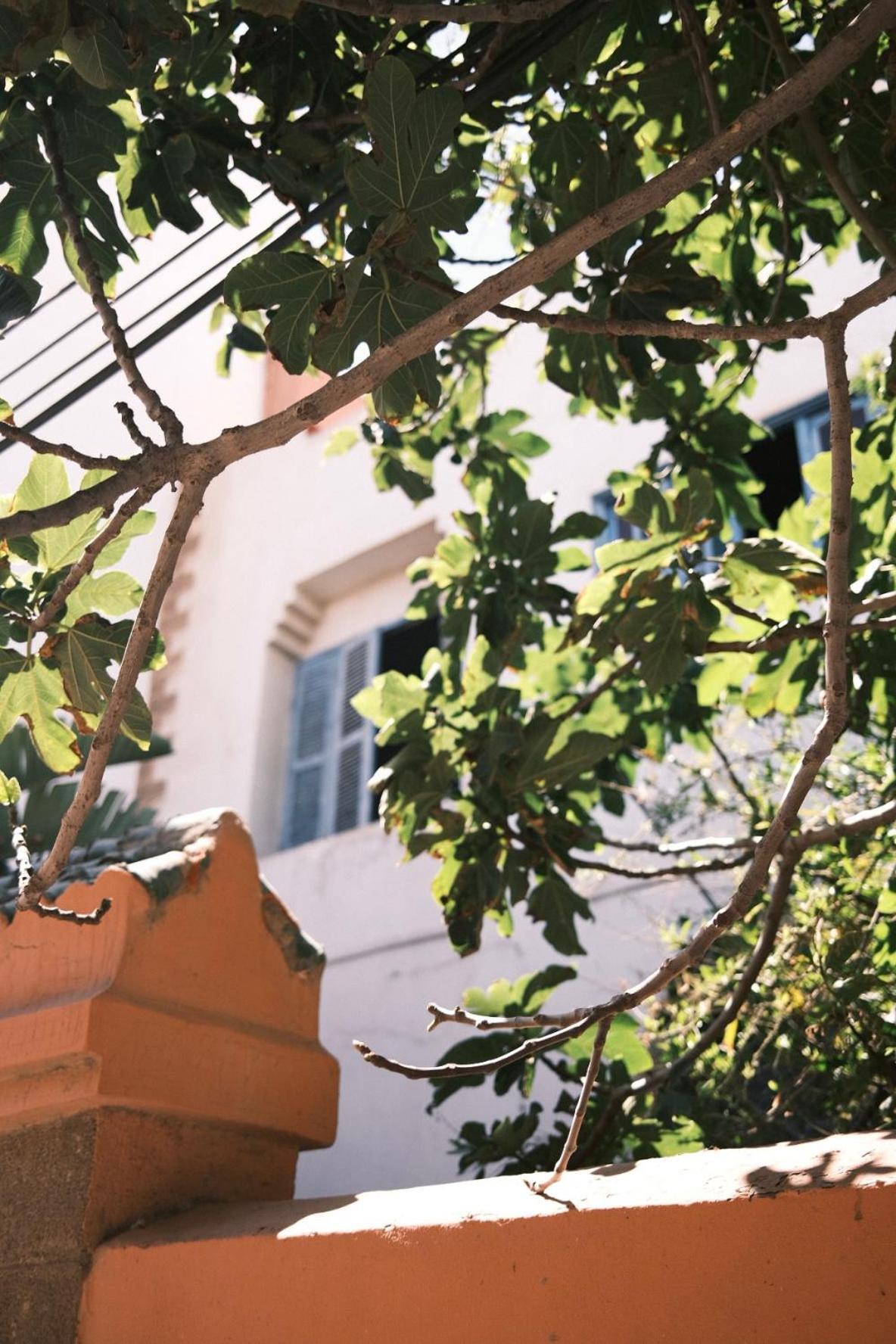 Riad Bianca Essaouira Guest House Екстер'єр фото