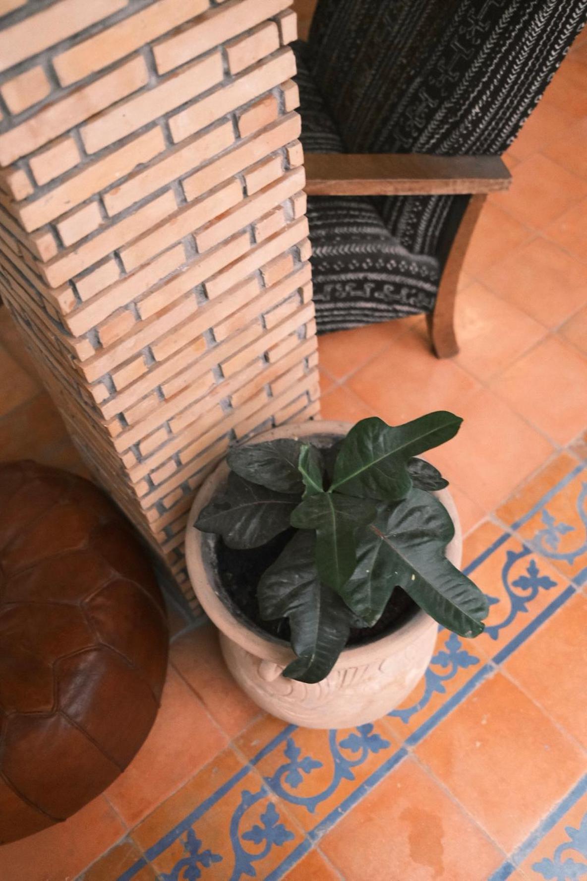 Riad Bianca Essaouira Guest House Екстер'єр фото